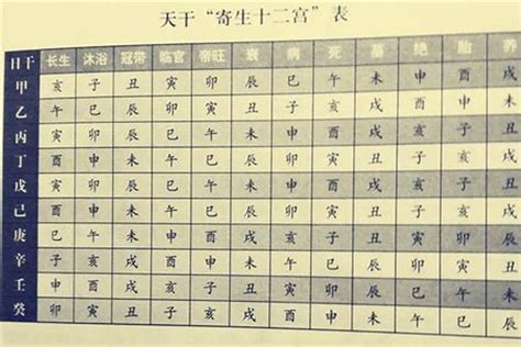 八字盤|八字命盤排盤